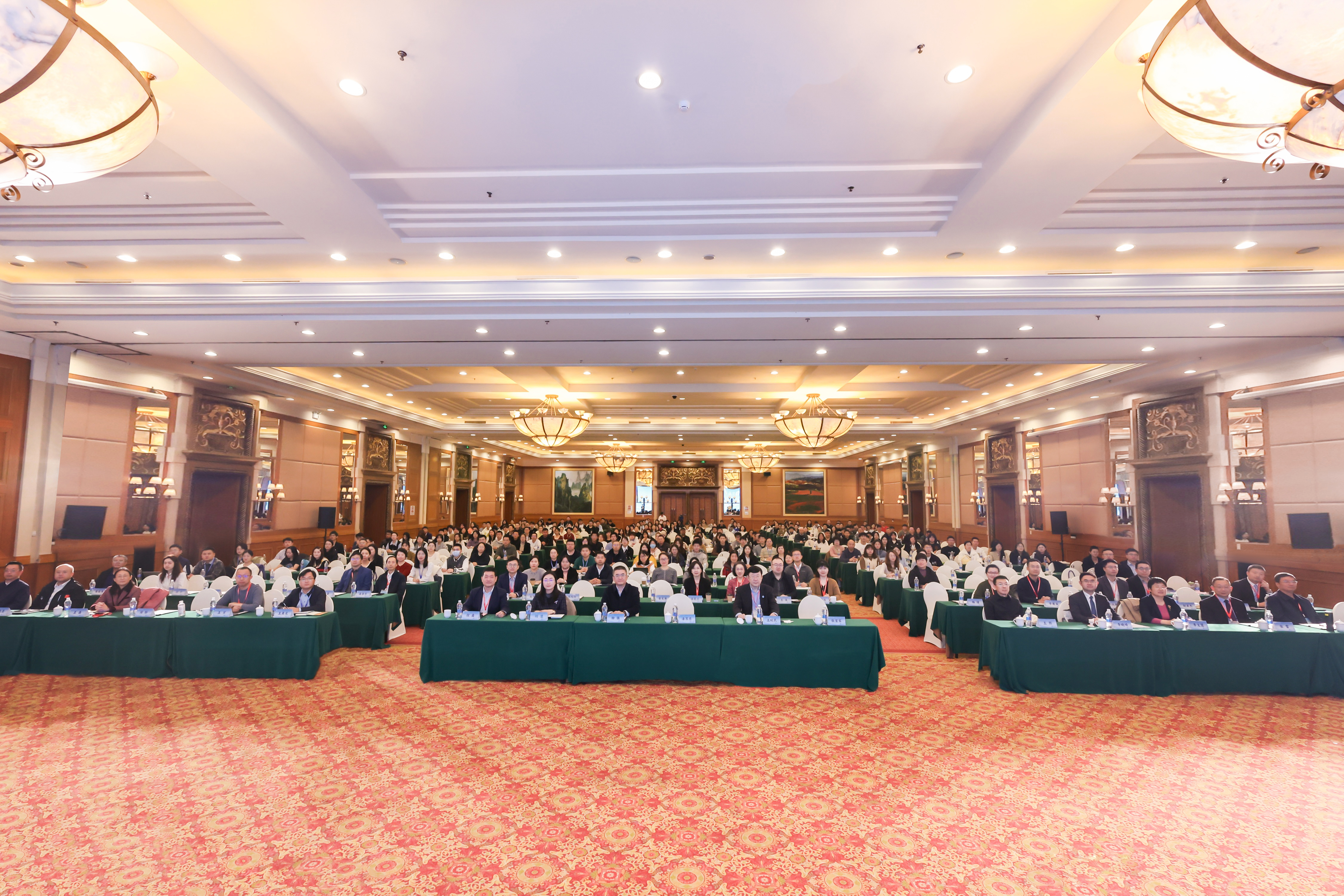 20241119173199830035.jpg 20241119173199830035.jpg